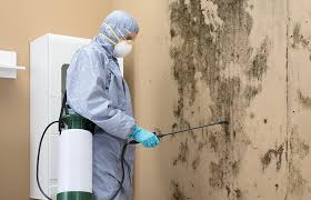 Best Industrial Mold Remediation  in Abbeville, LA